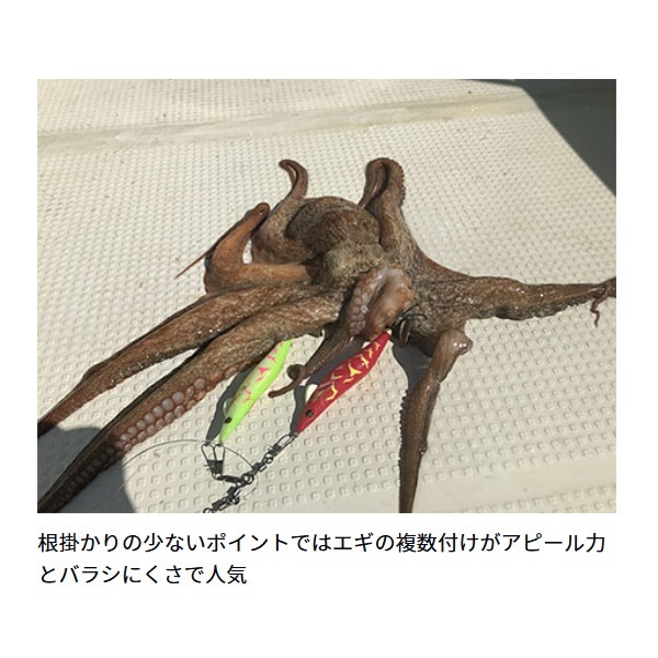21エギタコ X